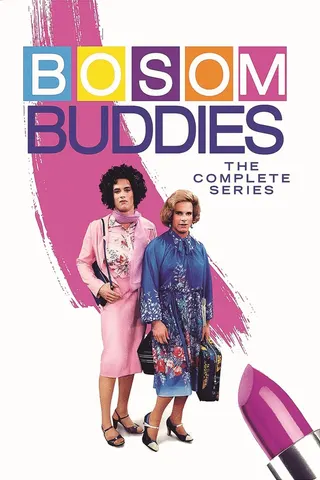 Görsel: TMDB Bosom Buddies afişi