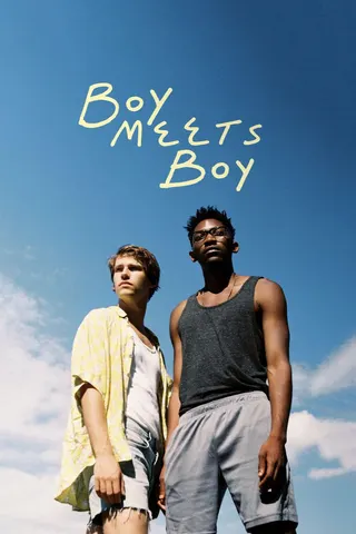 Boy Meets Boy afişi