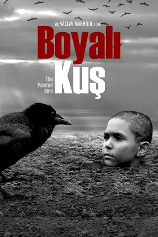 Görsel: TMDB Boyalı Kuş afişi