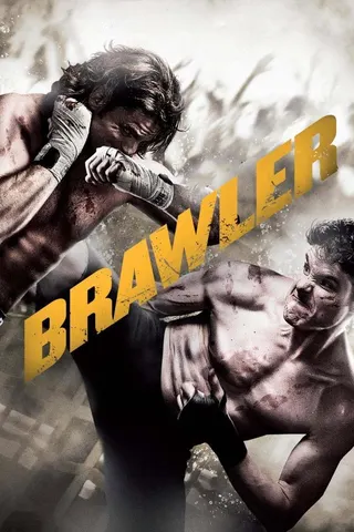 Brawler afişi