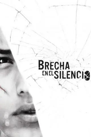 Görsel: TMDB Breach in the Silence afişi