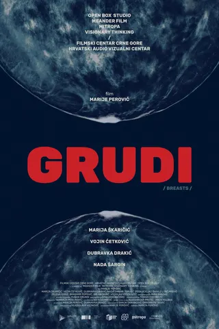 Görsel: TMDB Breasts afişi