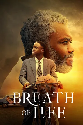 Görsel: TMDB Breath of Life afişi