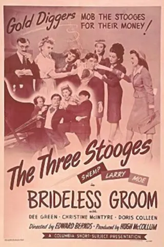 Görsel: TMDB Brideless Groom afişi