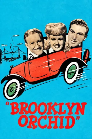 Görsel: TMDB Brooklyn Orchid afişi