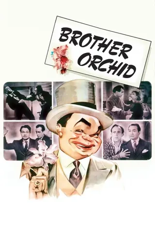 Brother Orchid afişi