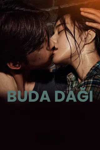 Görsel: TMDB Buddha Mountain afişi