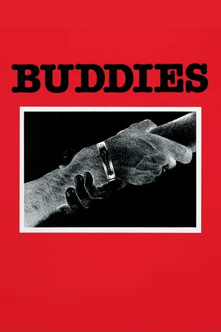Buddies afişi