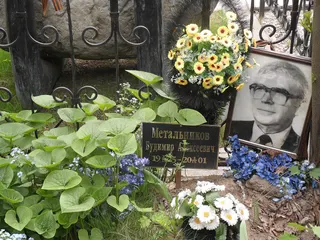 Budimir Metalnikov