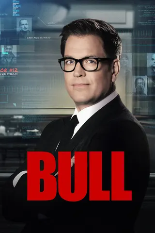 Bull afişi