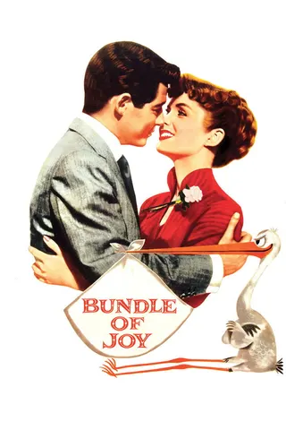 Bundle of Joy afişi