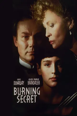 Görsel: TMDB Burning Secret afişi
