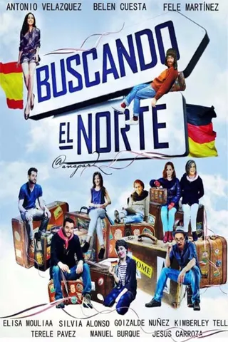 Buscando el norte afişi