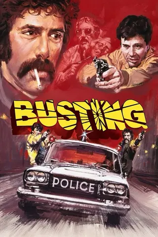 Busting afişi