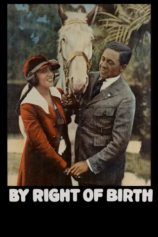 By Right of Birth afişi