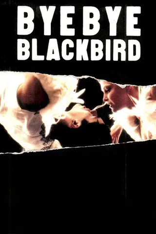 Bye Bye Blackbird afişi