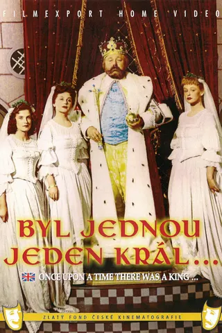 Görsel: TMDB Byl jednou jeden král… afişi