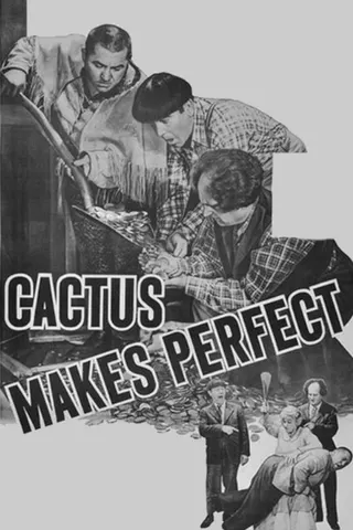 Görsel: TMDB Cactus Makes Perfect afişi