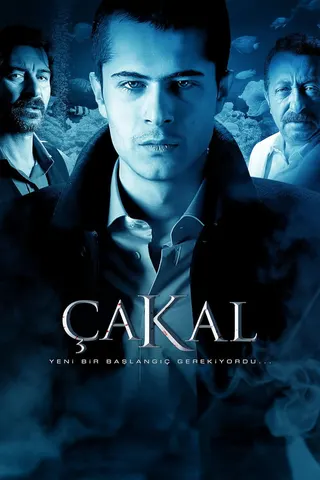 Görsel: TMDB Çakal afişi