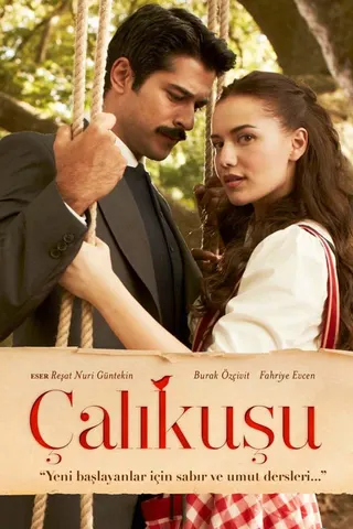 Görsel: TMDB Çalıkuşu afişi