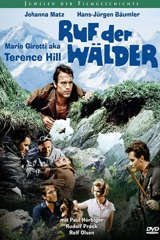 Görsel: TMDB Call of the Forest afişi