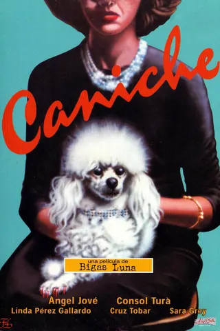 Caniche afişi