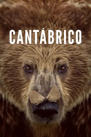 Görsel: TMDB Cantábrico afişi
