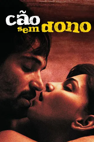 Cão sem Dono afişi