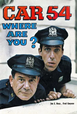 Görsel: TMDB Car 54, Where Are You? afişi