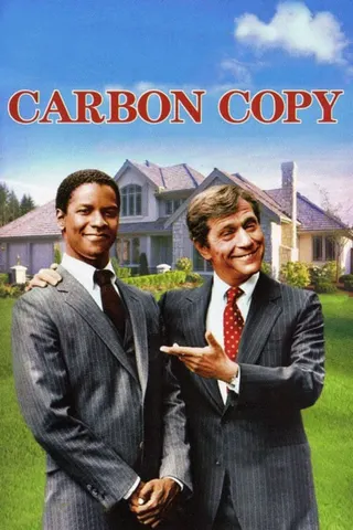 Görsel: TMDB Carbon Copy afişi