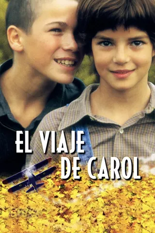 Görsel: TMDB Carol's Journey afişi