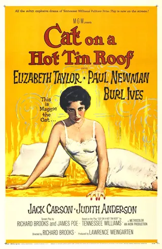 Görsel: Reynold Brown / Kamu malı Cat on a Hot Tin Roof afişi