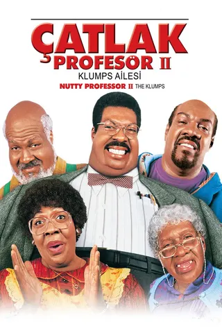 Çatlak Profesör 2 afişi