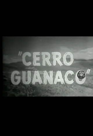 Cerro Guanaco afişi