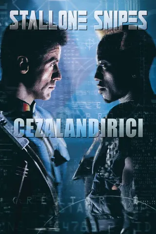 Cezalandırıcı afişi