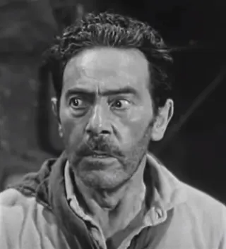 Charles Wagenheim