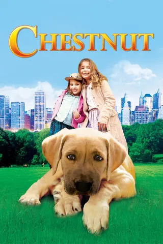 Chestnut: Hero of Central Park afişi