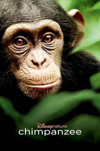 Görsel: TMDB Chimpanzee afişi