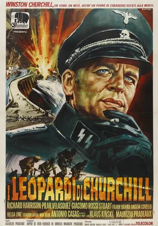Churchill's Leopards afişi