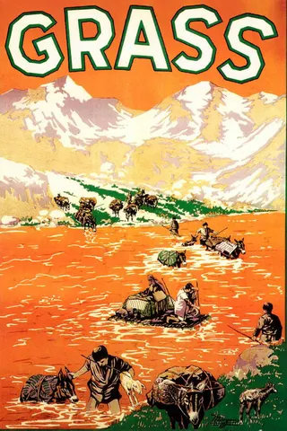 Çimenler: Bir Halkın Yaşam Mücadelesi afişi
