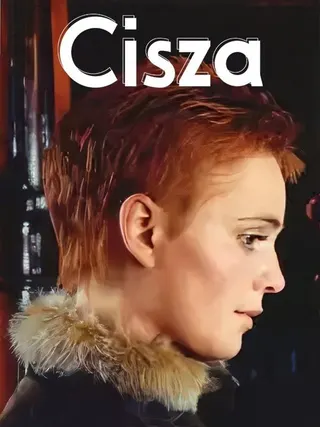 Görsel: TMDB Cisza afişi