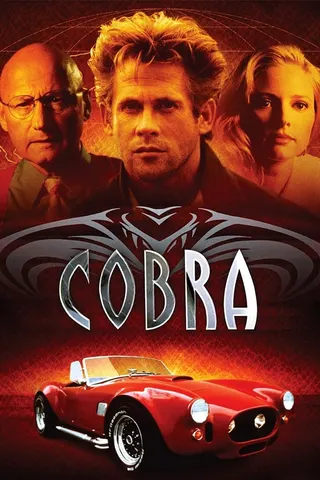 Görsel: TMDB Cobra afişi