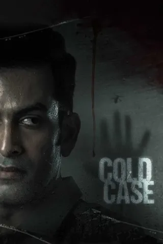 Görsel: TMDB Cold Case afişi