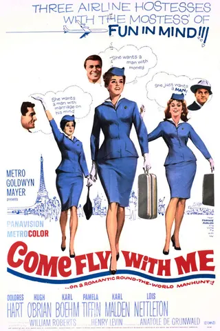 Görsel: TMDB Come Fly with Me afişi