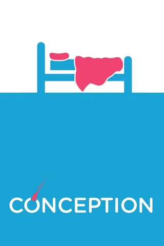 Conception afişi