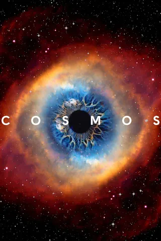 Cosmos: A Spacetime Odyssey afişi
