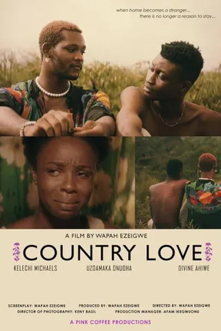 Country Love afişi