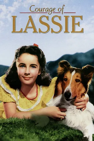 Courage of Lassie afişi