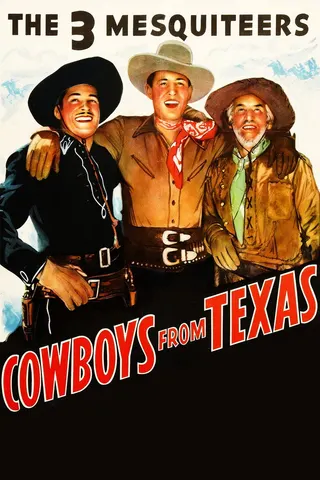Görsel: TMDB Cowboys from Texas afişi