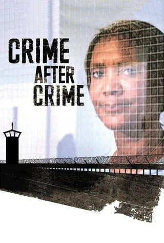 Crime After Crime afişi